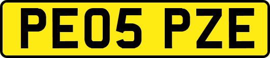 PE05PZE