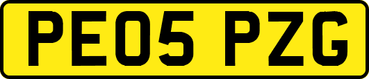 PE05PZG