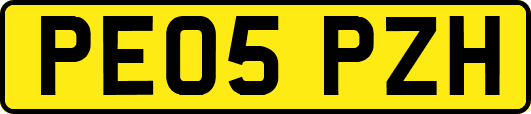 PE05PZH