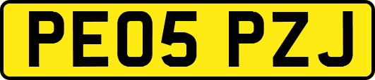 PE05PZJ