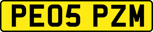 PE05PZM