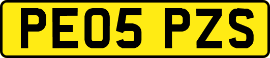 PE05PZS