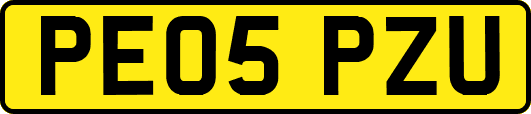 PE05PZU