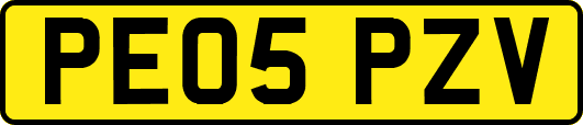 PE05PZV