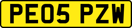 PE05PZW
