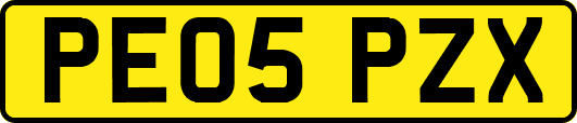 PE05PZX