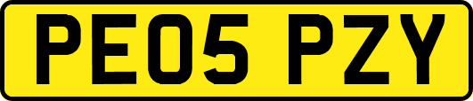 PE05PZY