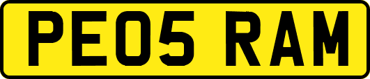 PE05RAM