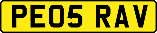 PE05RAV