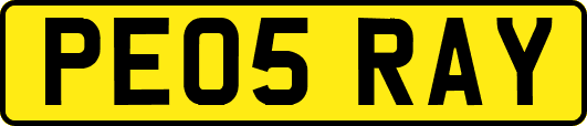 PE05RAY