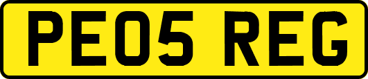 PE05REG