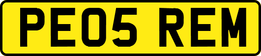 PE05REM