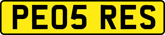 PE05RES