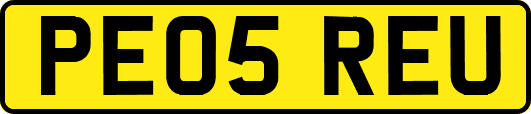 PE05REU