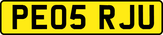 PE05RJU