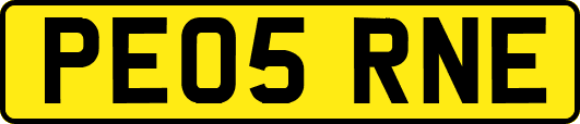 PE05RNE