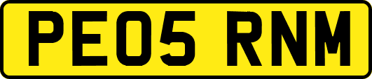 PE05RNM