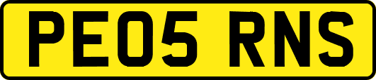 PE05RNS