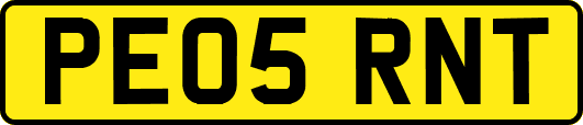 PE05RNT