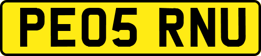 PE05RNU