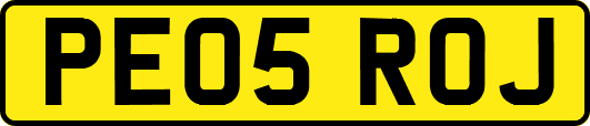 PE05ROJ