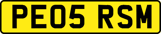 PE05RSM