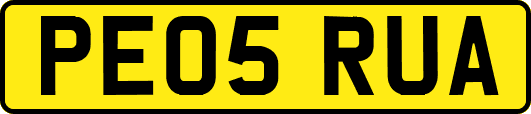 PE05RUA