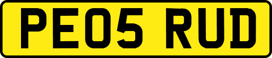 PE05RUD