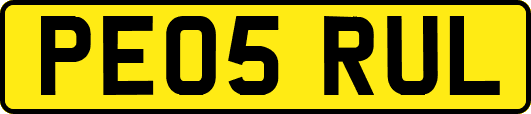 PE05RUL