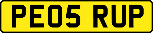 PE05RUP