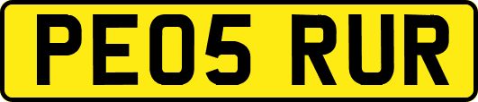 PE05RUR