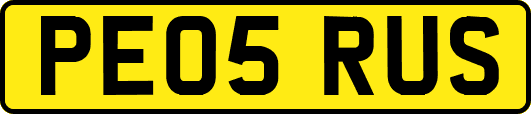 PE05RUS