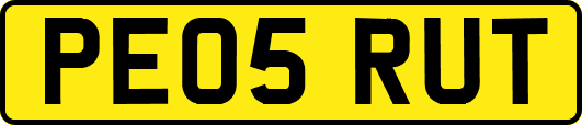 PE05RUT