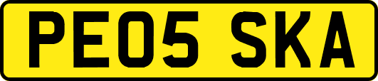 PE05SKA
