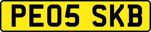 PE05SKB