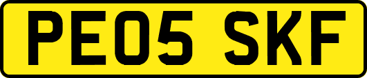 PE05SKF