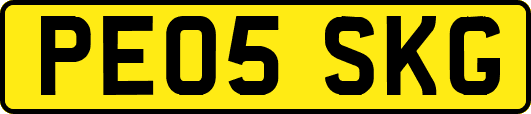 PE05SKG