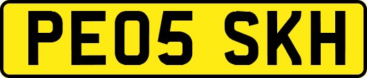 PE05SKH