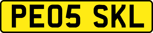 PE05SKL