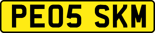 PE05SKM