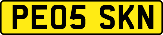 PE05SKN