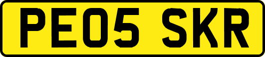 PE05SKR