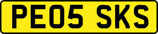 PE05SKS