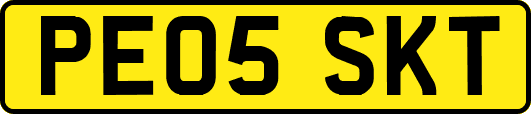 PE05SKT