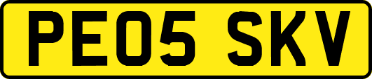 PE05SKV