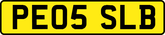 PE05SLB