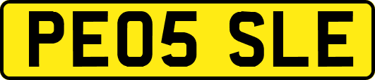 PE05SLE