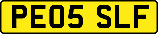PE05SLF