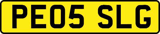PE05SLG