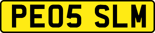 PE05SLM
